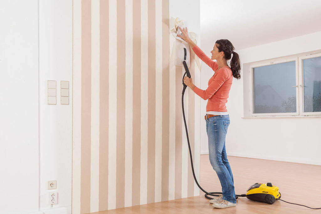 Aparat cu abur PowerSteam 915e