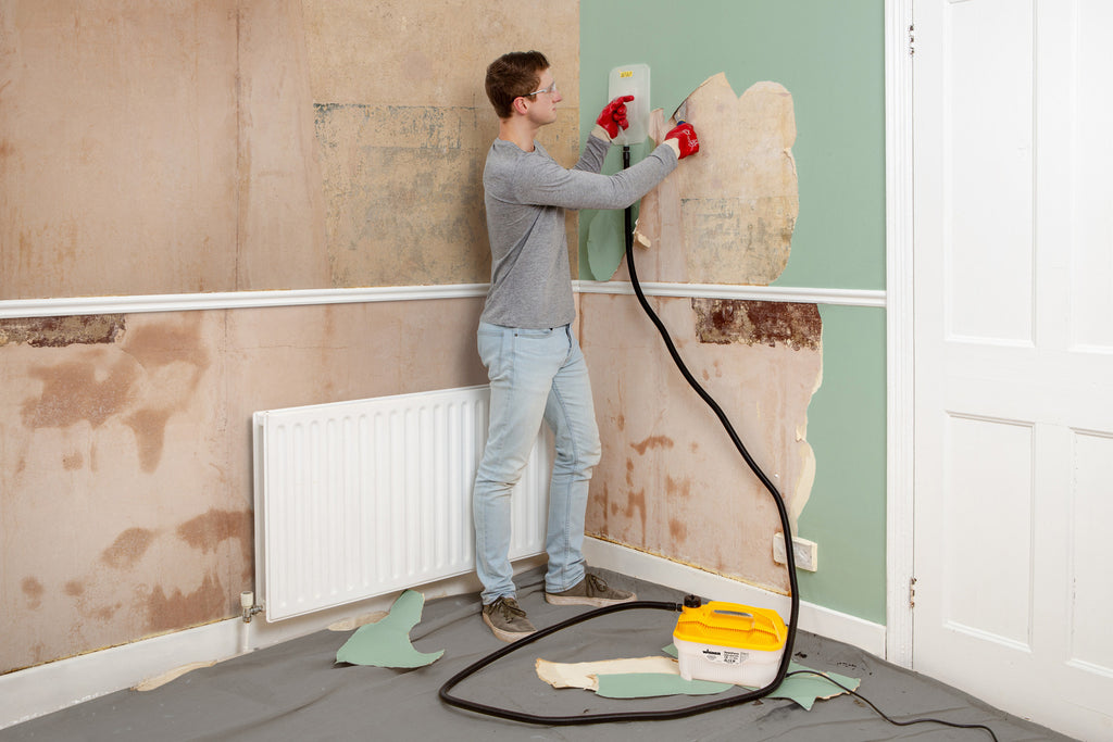 Aparat dezlipit tapet SteamForce