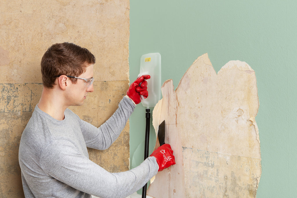 Aparat dezlipit tapet SteamForce